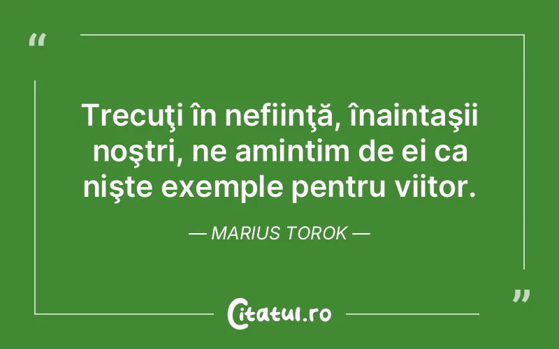Citat Marius Torok - citate viata