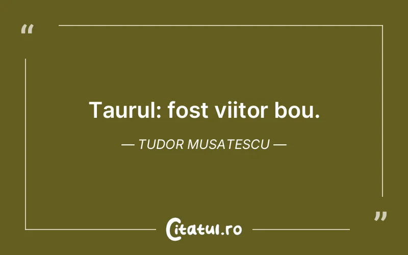 Citat Tudor Musatescu - citate viata