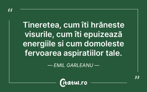 Citat Viață - Citatul.ro