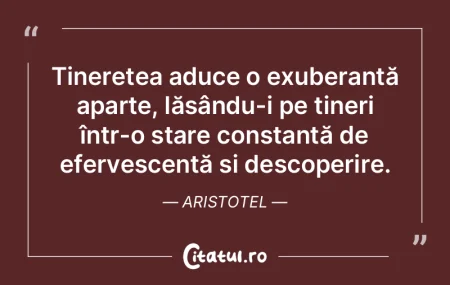 Tinerețea aduce neajunsuri, maturitatea... Tinerețea aduce neajunsuri, maturitatea...