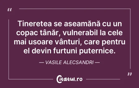 Pe măsură ce acumulăm experiențe val... Pe măsură ce acumulăm experiențe val...
