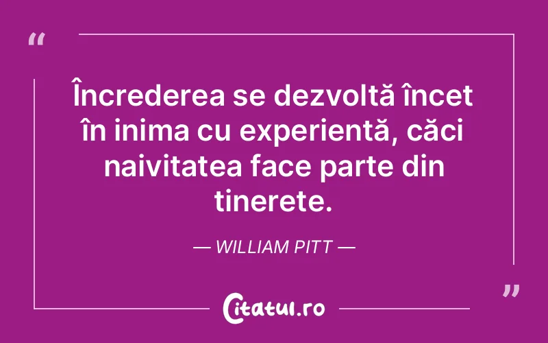 Citat William Pitt - citate viata