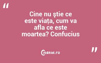 Cine nu ştie ce este viaţa, cum va afla ce este moartea? Confucius...