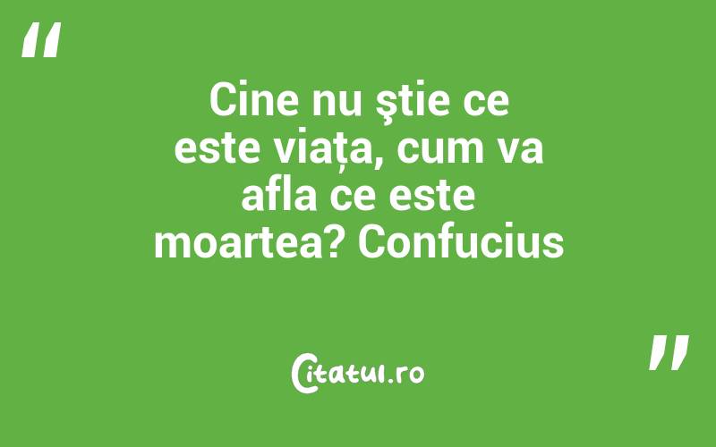Cine nu ştie ce este viaţa, cum va afla ce este moartea? Confucius
