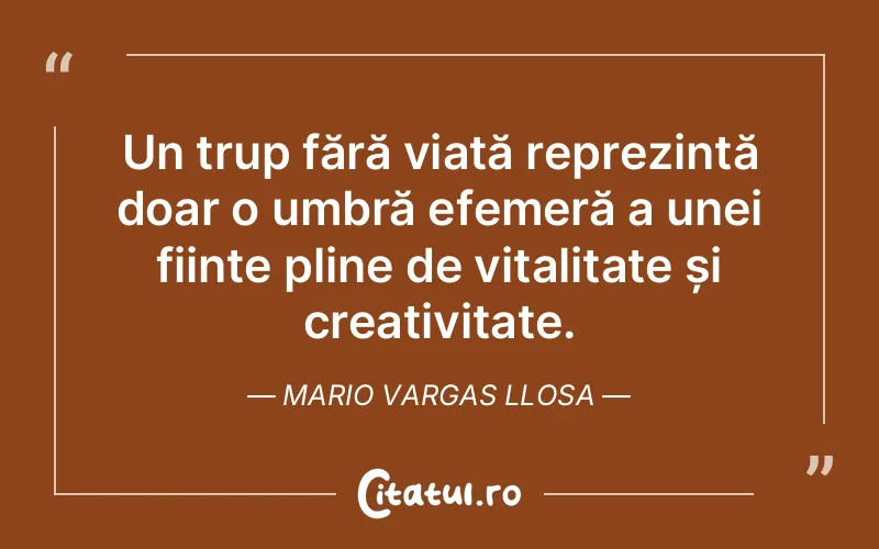 Citat Mario Vargas Llosa - citate viata