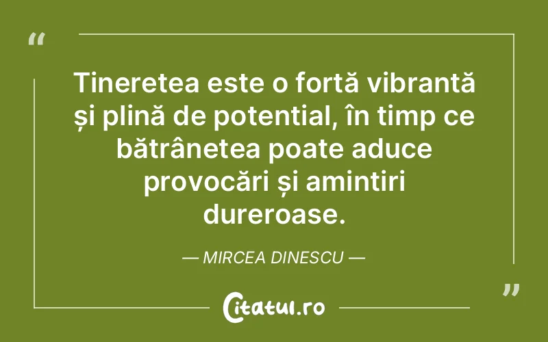 Citat Mircea Dinescu - citate viata