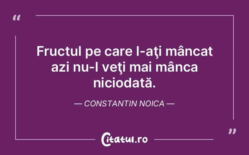 Citat Constantin Noica - citate viata