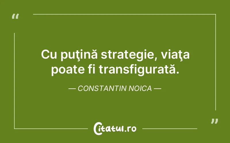 Citat Constantin Noica - citate viata