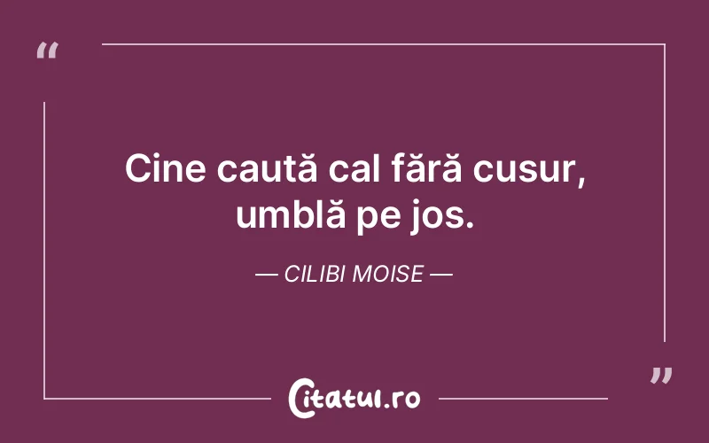 Citat Cilibi Moise - citate viata