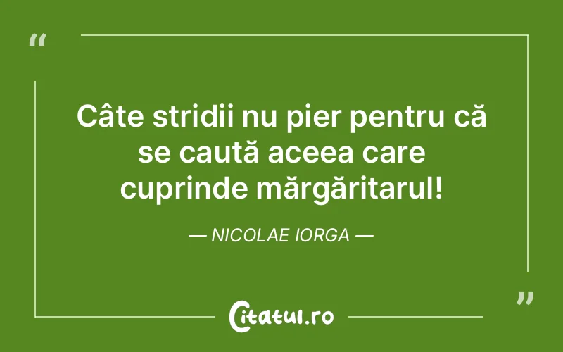 Citat Nicolae Iorga - citate viata