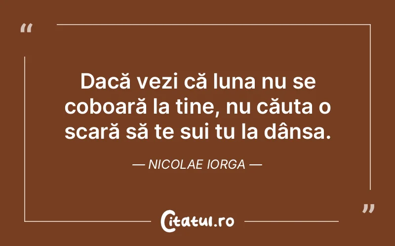 Citat Nicolae Iorga - citate viata