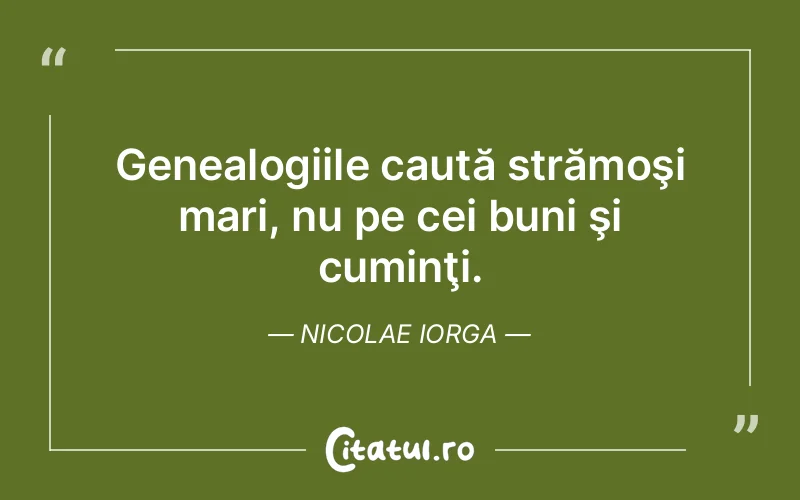 Citat Nicolae Iorga - citate viata