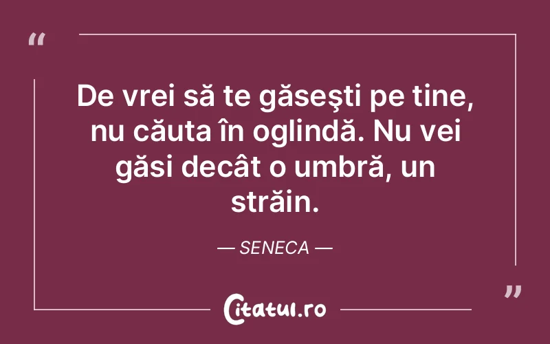 Citat Seneca - citate viata