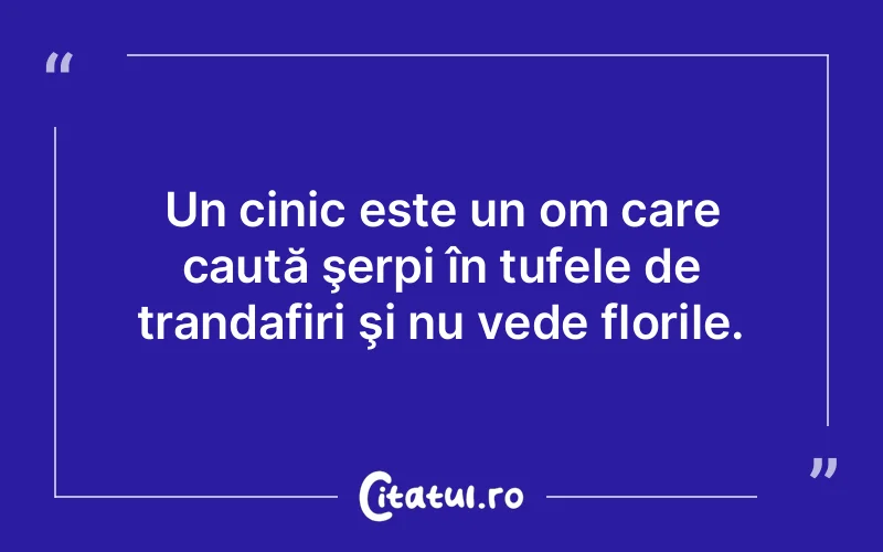 Citat Autor necunoscut - citate viata