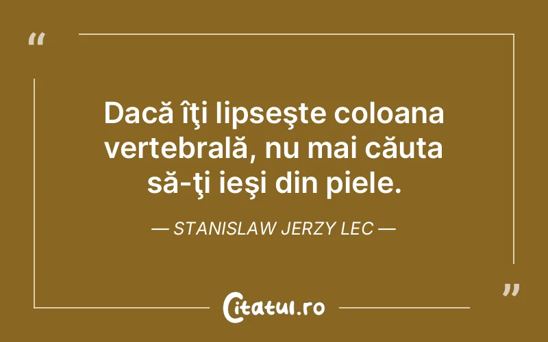 Citat Stanislaw Jerzy Lec - citate viata