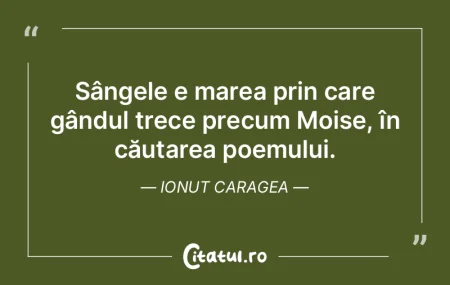 Nasterea zilei in sangele meu se joaca a...