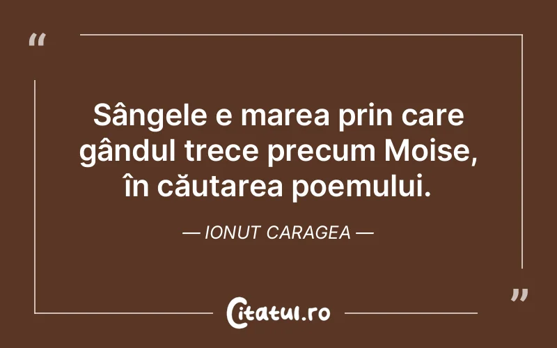 Citat Ionut Caragea - citate viata