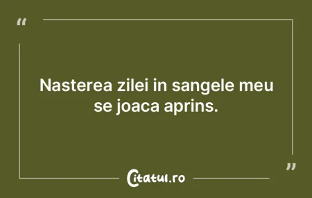Ne-am născut provizoriu, undeva, apoi �...
