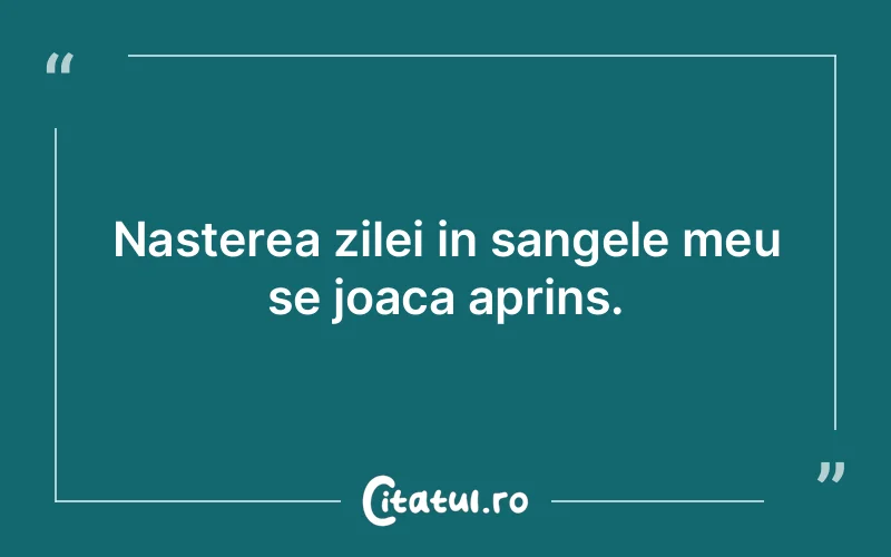 Citat Autor necunoscut - citate viata