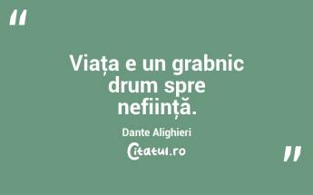 Viaţa e un grabnic drum spre nefiinţă. Dante Alighieri...