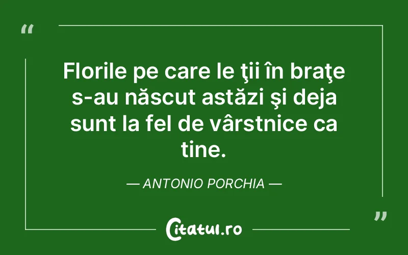 Citat Antonio Porchia - citate viata