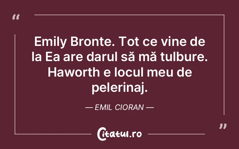 Citat Emil Cioran - citate viata