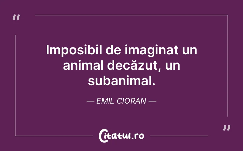 Citat Emil Cioran - citate viata