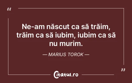 Geniul s-a născut în provincie. Mircea... Geniul s-a născut în provincie. Mircea...