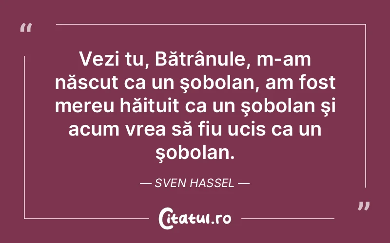 Citat Sven Hassel - citate viata