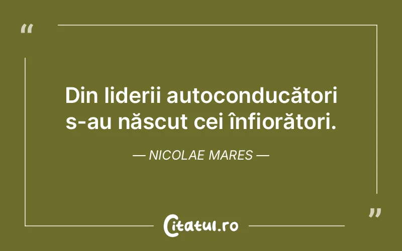 Citat Nicolae Mares - citate viata