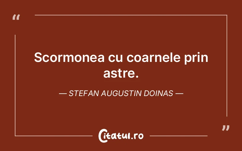 Citat Stefan Augustin Doinas - citate viata