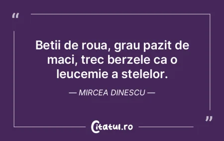 Pe creanga unui nor sclipește, ca pruna...