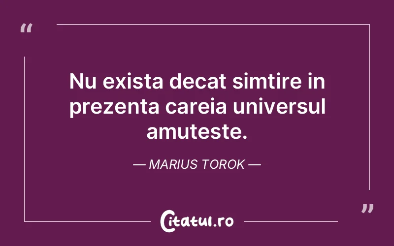 Citat Marius Torok - citate viata
