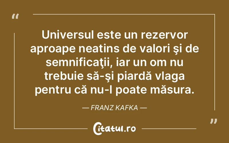 Citat Franz Kafka - citate viata