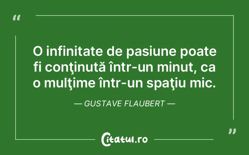 Citat Gustave Flaubert - citate viata
