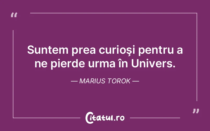 Citat Marius Torok - citate viata