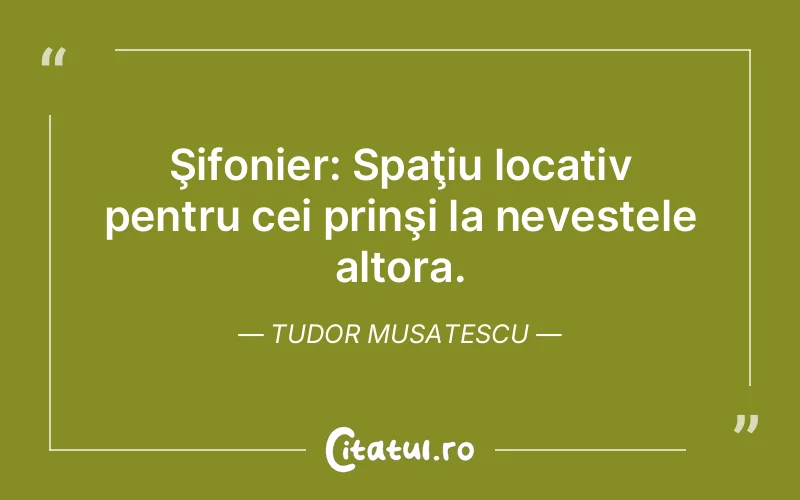 Citat Tudor Musatescu - citate viata