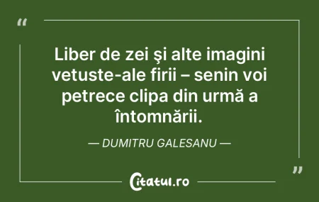 Am ratat clipa in favoarea eternitatii, ...