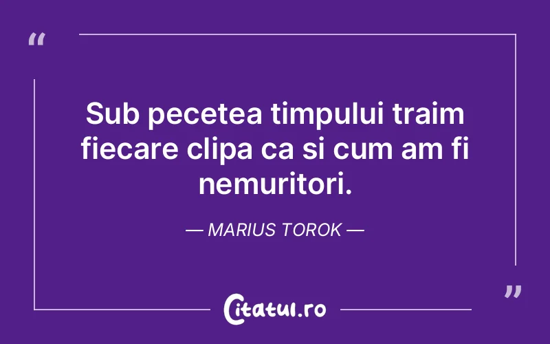 Citat Marius Torok - citate viata