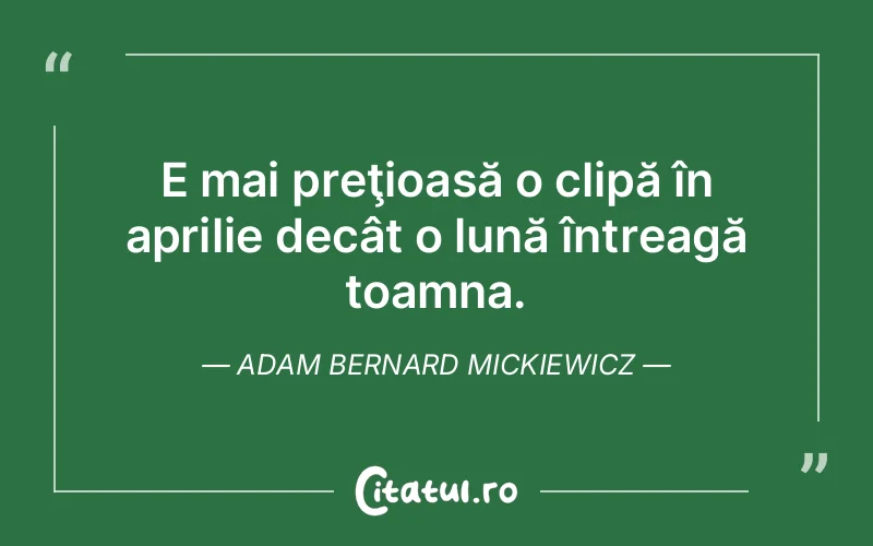 Citat Adam Bernard Mickiewicz - citate viata