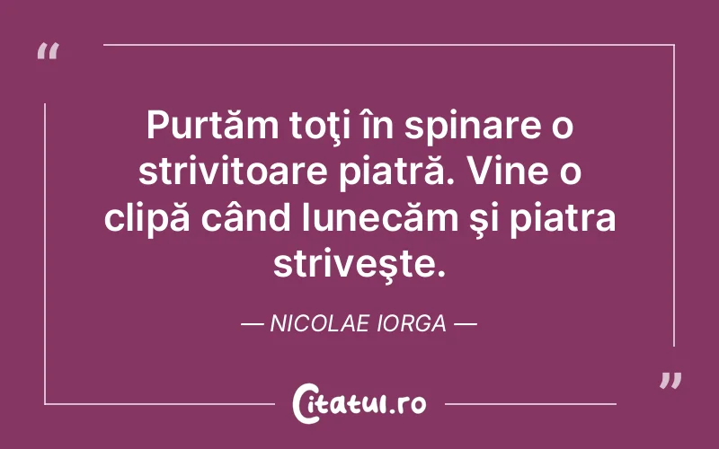 Citat Nicolae Iorga - citate viata