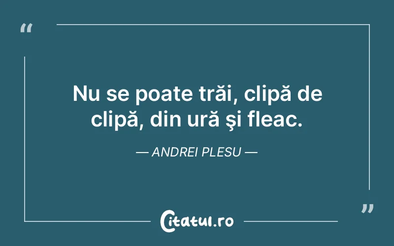 Citat Andrei Plesu - citate viata