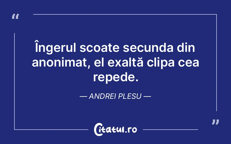Îngerul scoate secunda din anonimat, el exaltă clipa cea repede. Andrei Plesu