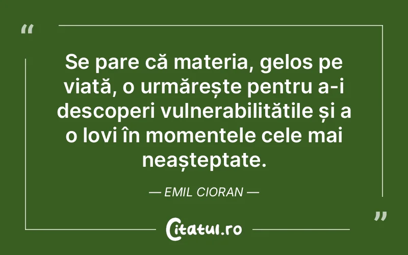 Citat Emil Cioran - citate viata