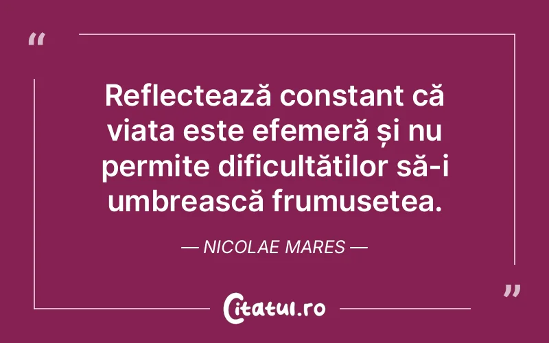 Citat Nicolae Mares - citate viata