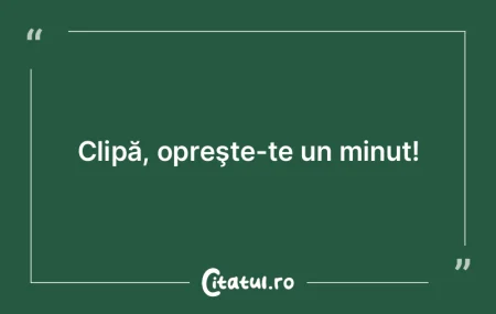 Fiecare moment este rezultatul alegerilo...