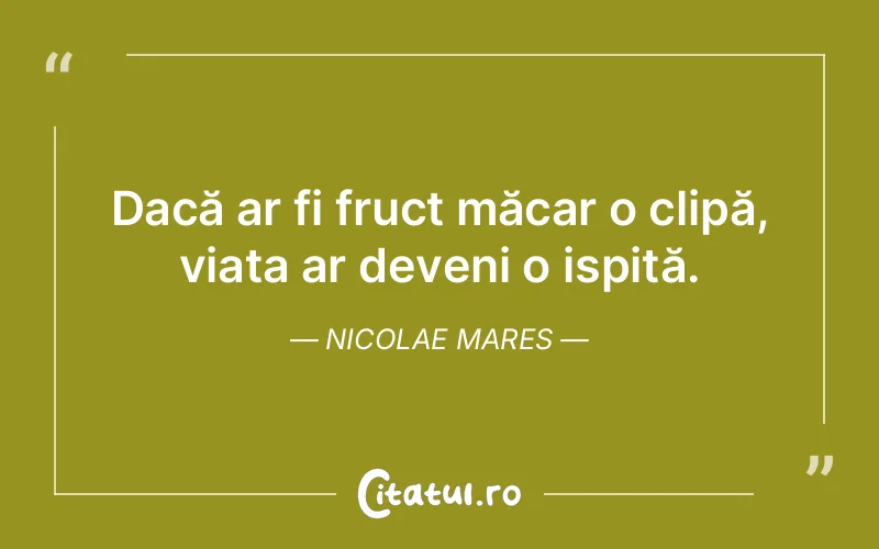 Citat Nicolae Mares - citate viata