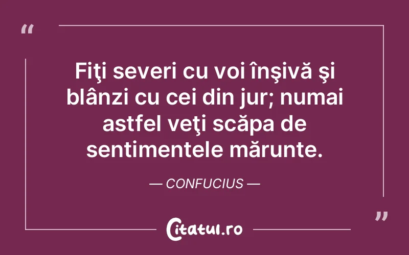 Fiţi severi cu voi înşivă şi blânzi cu cei din jur; numai astfel veţi scăpa de sentimentele mărunte. Confucius