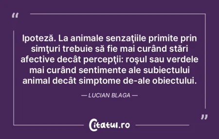 Emanuel Bibescu m-a învăţat să am se...