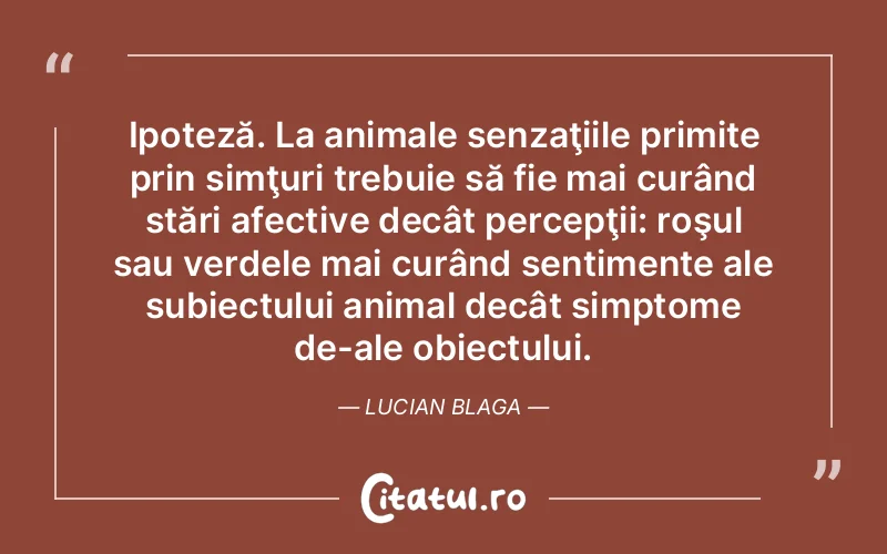 Citat Autor necunoscut - citate viata